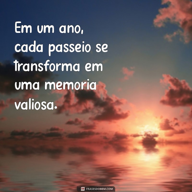 Como Celebrar o 1 Ano do Seu Cachorro: Dicas e Ideias Incríveis 