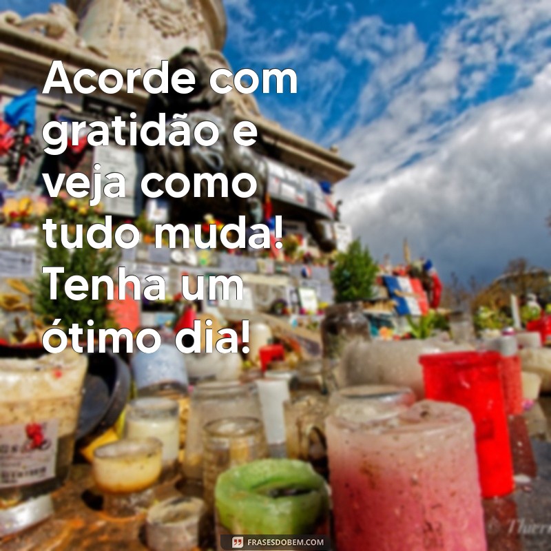 As Melhores Frases de Bom Dia para Compartilhar com Amigos no WhatsApp 