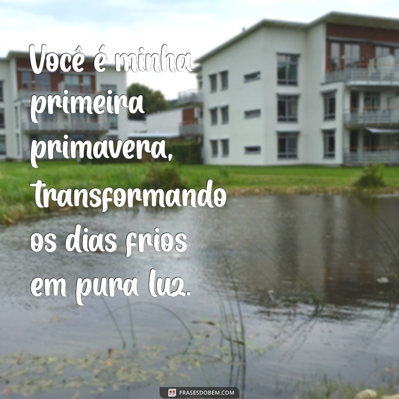 Descubra o Significado de Você é Minha Primeira Primavera em Frases Inspiradoras 