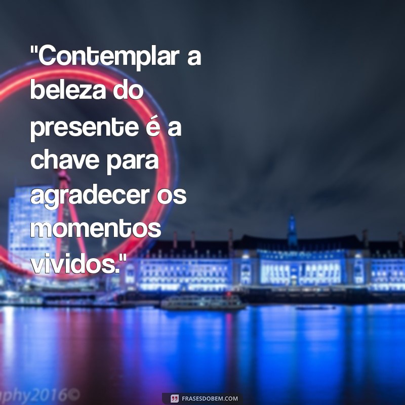 frases contemplar e agradecer 