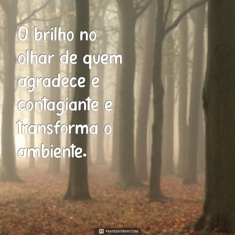 Frases Inspiradoras para Contemplar e Agradecer: Cultivando a Gratidão no Dia a Dia 