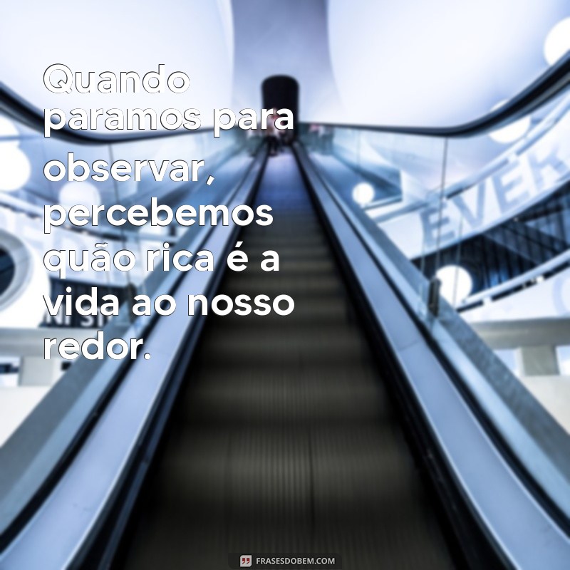 Frases Inspiradoras para Contemplar e Agradecer: Cultivando a Gratidão no Dia a Dia 