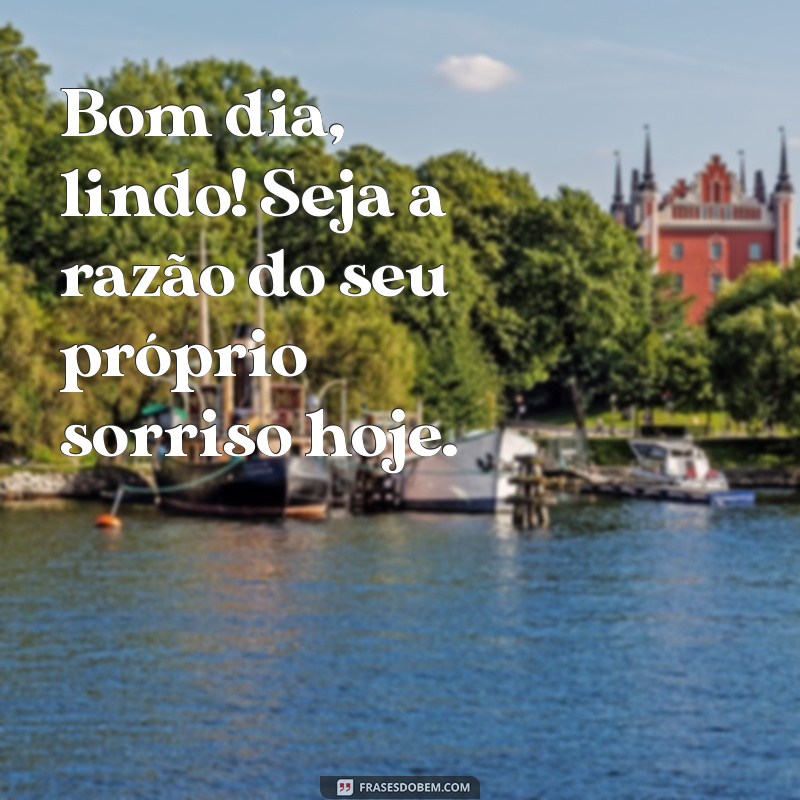 Bom Dia Lindo: Frases Inspiradoras para Começar o Dia com Alegria 