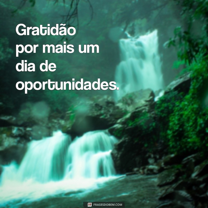 50 Status Inspiradores de Gratidão para Suas Fotos 