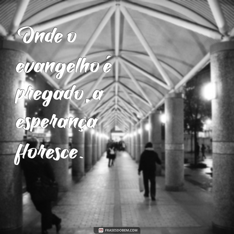 Frases Inspiradoras para Pregar o Evangelho com Amor e Esperança 