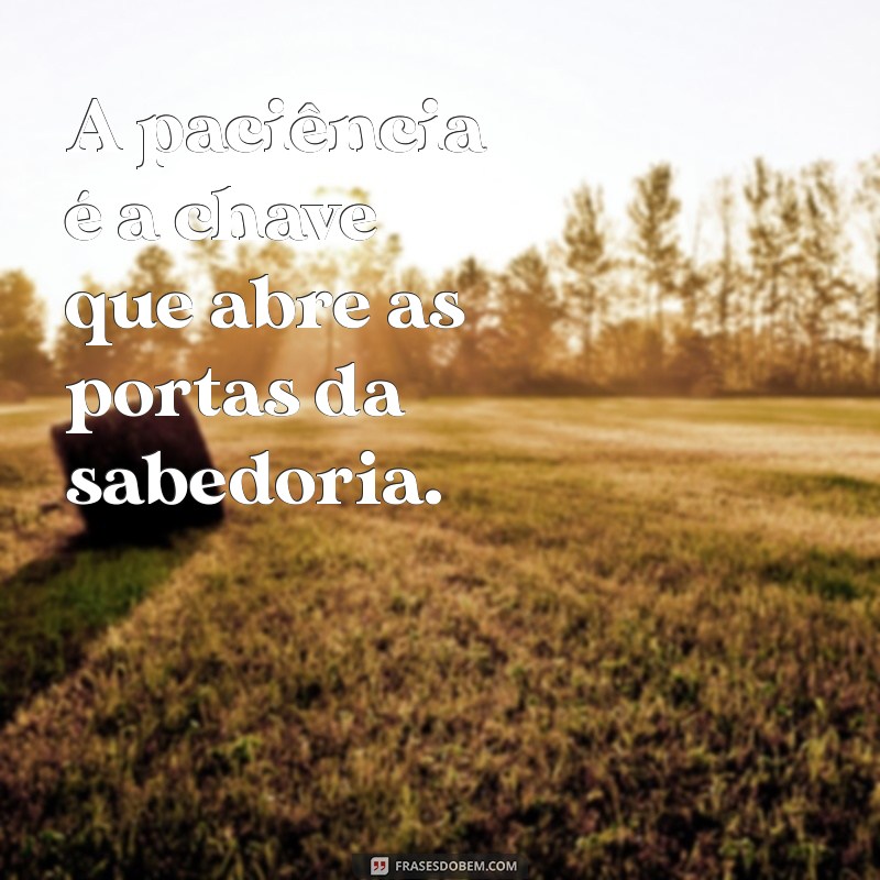 mensagem proverbios A paciência é a chave que abre as portas da sabedoria.