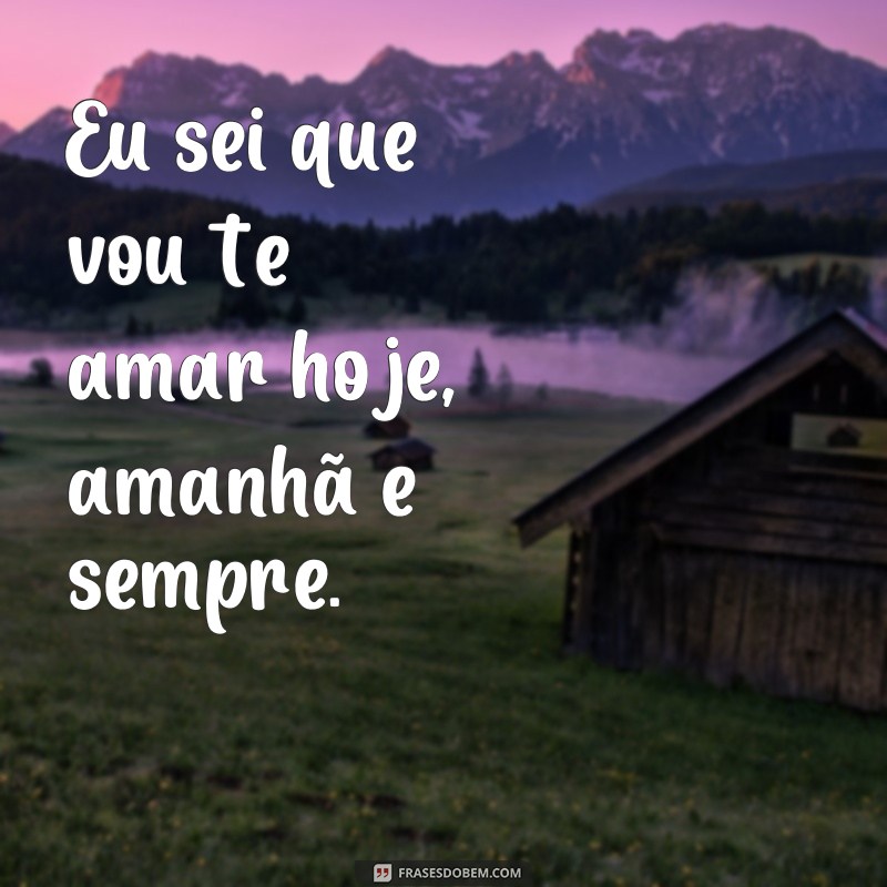 frases eu sei que vou te amar Eu sei que vou te amar hoje, amanhã e sempre.