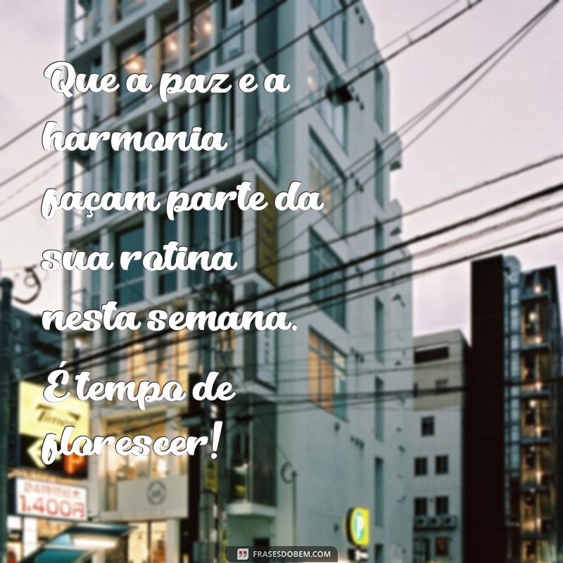 Mensagem Inspiradora para Começar a Sua Semana com Positividade 