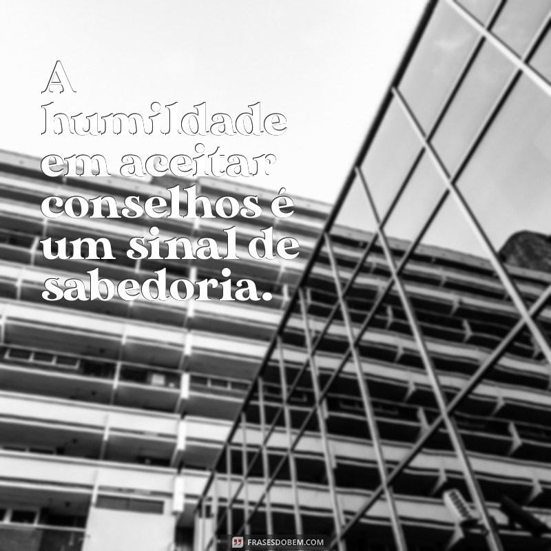 Frases Inspiradoras para Alcançar o Sucesso Profissional 