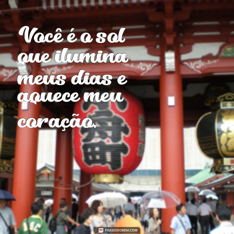 Frases Inspiradoras para Expressar o Amor pela Sua Companhia 