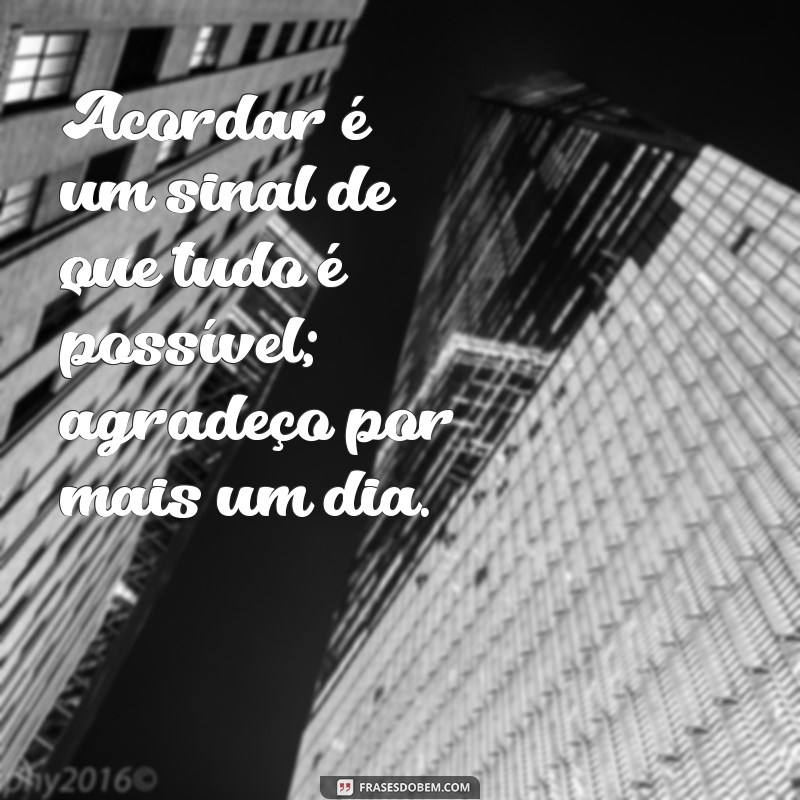 Comece o Dia com Gratidão: Como a Apreciação Transforma Suas Manhãs 