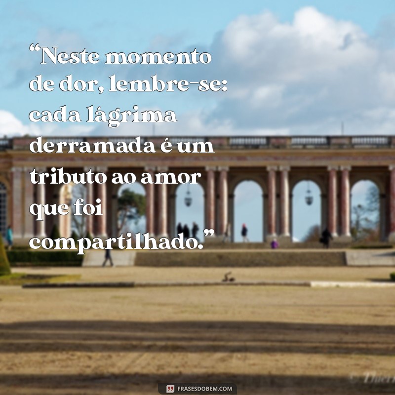 Frases Confortantes para Mensagens de Luto: Como Apoiar em Momentos Difíceis 