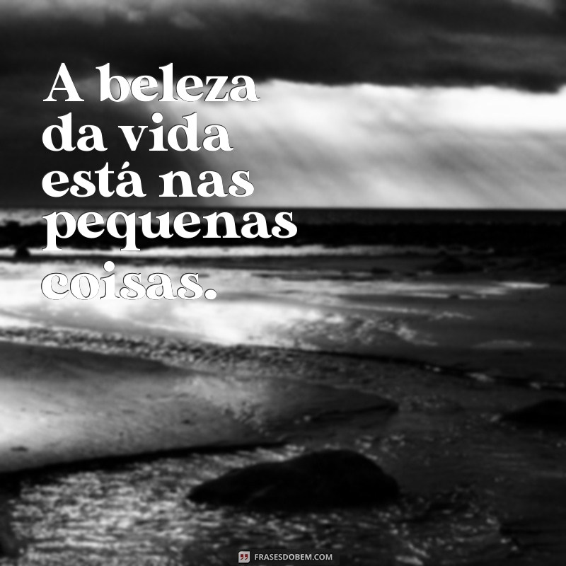 frases simplicidade A beleza da vida está nas pequenas coisas.