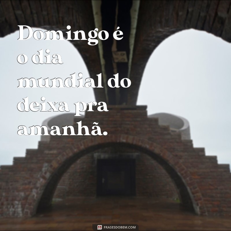 Os Melhores Memes para Animar Seu Domingo: Ria e Compartilhe! 