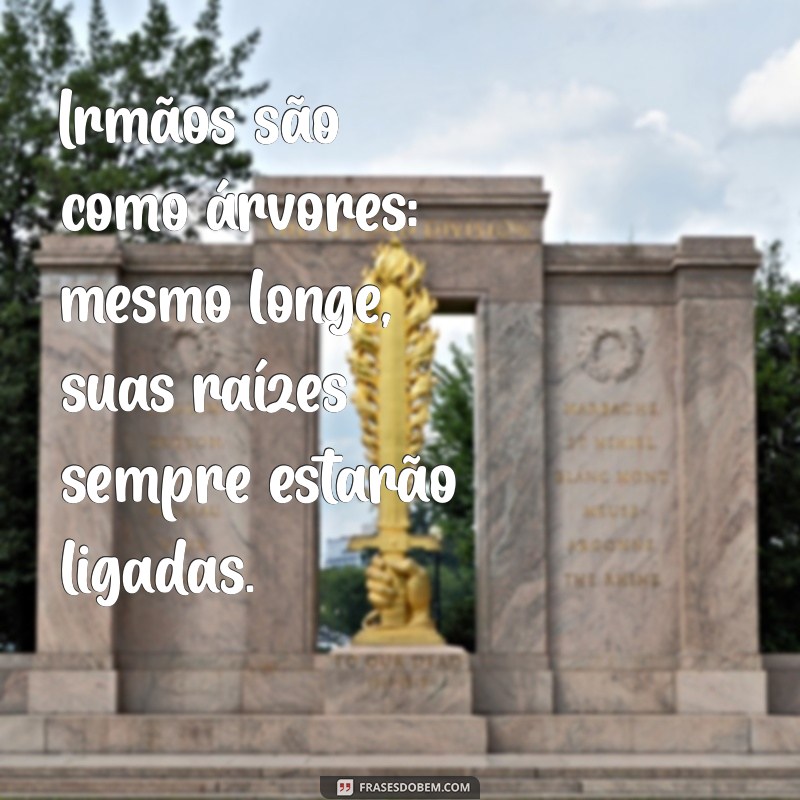 Frases Inspiradoras para Celebrar o Dia dos Irmãos 