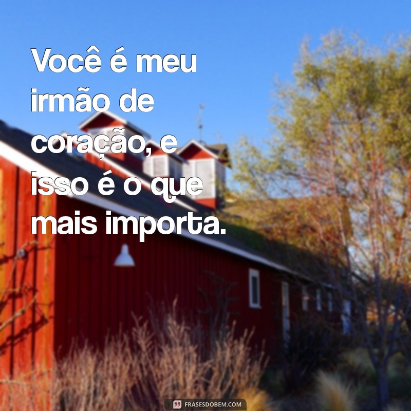 Frases Inspiradoras para Celebrar a Amizade e a Irmandade 