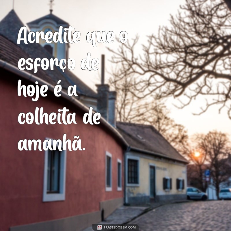 mensagem esforço e dedicação Acredite que o esforço de hoje é a colheita de amanhã.