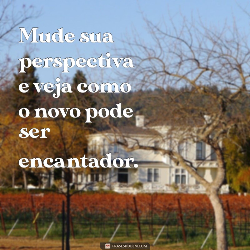 Descubra as Melhores Frases Novidade para Inspirar Seu Dia 