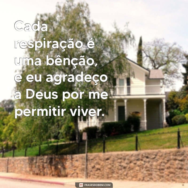 Frases Inspiradoras de Gratidão a Deus pelas Bênçãos Recebidas 