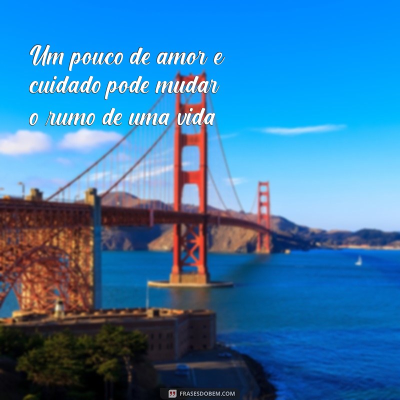 Top 20 Frases de Cuidado e Carinho para Inspirar Amor e Compaixão 