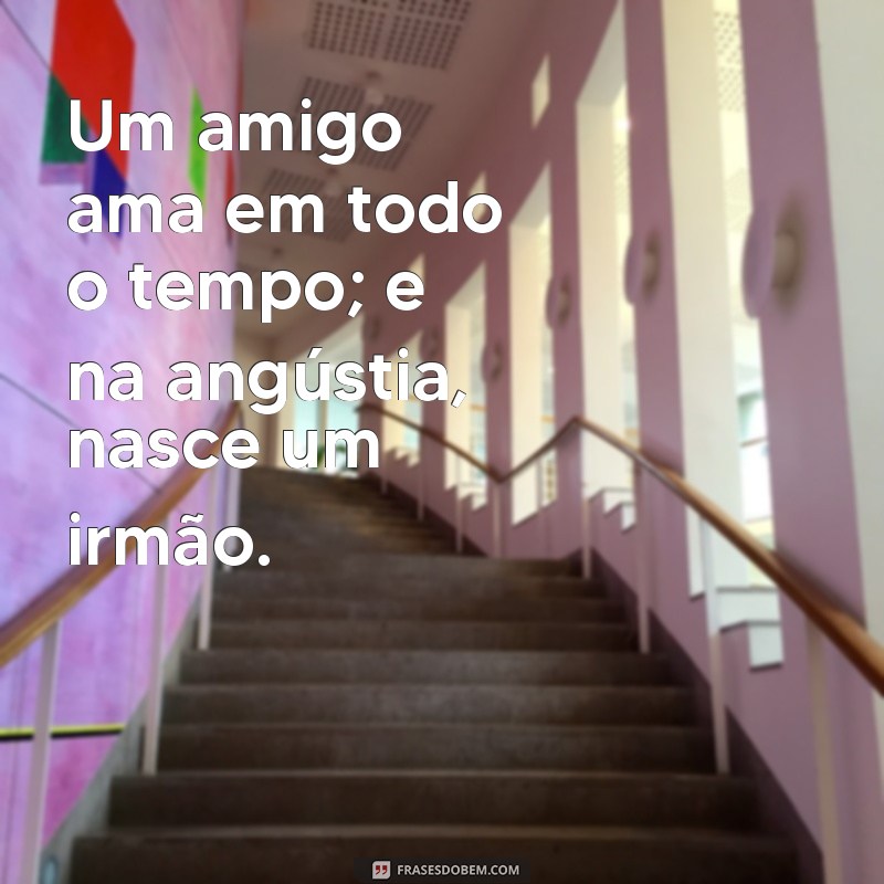 proverbio 17:17 Um amigo ama em todo o tempo; e na angústia, nasce um irmão.