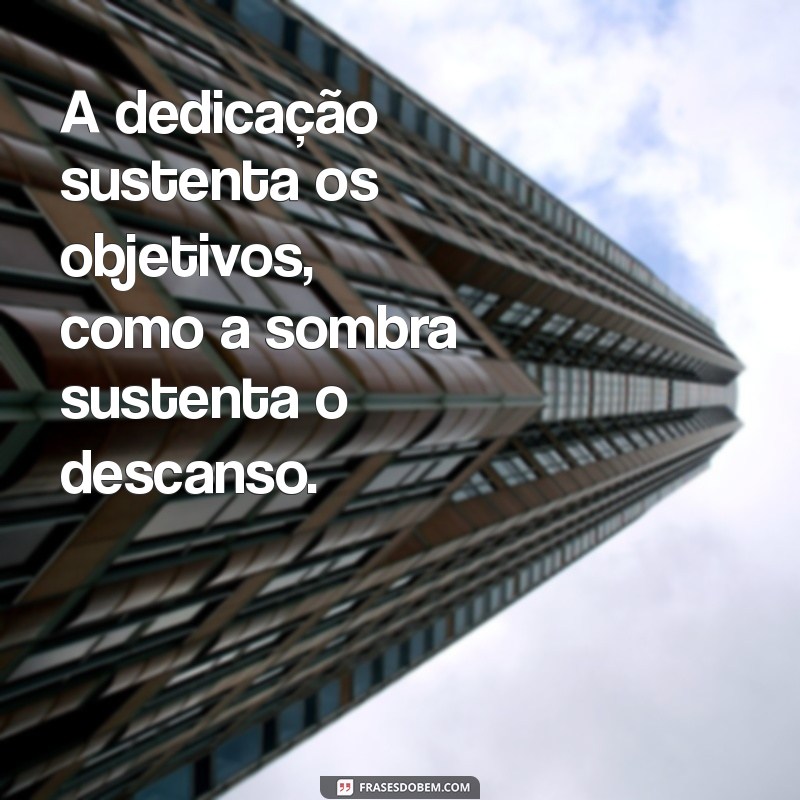 Como Sustentar Galhos, Folhas e Frutos: Dicas para uma Plantação Saudável 