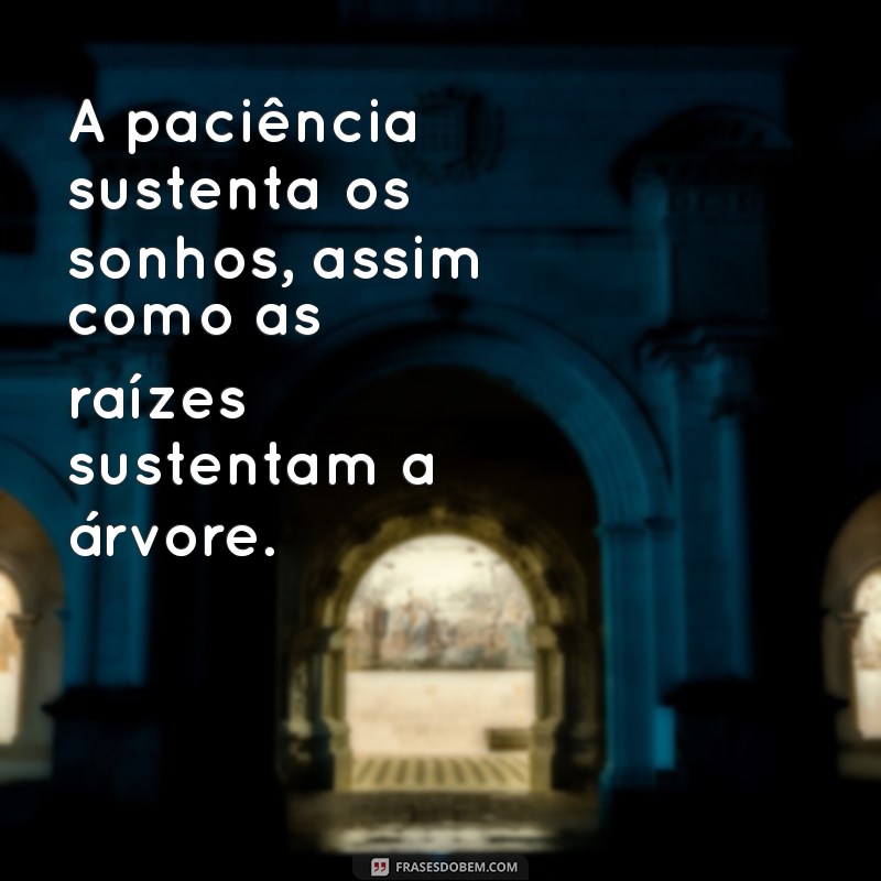 sustenta os galhos as folhas e os frutos A paciência sustenta os sonhos, assim como as raízes sustentam a árvore.