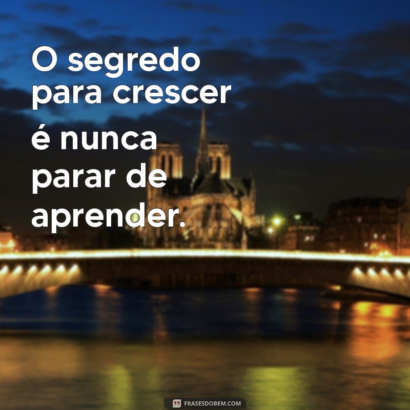 Frases Inspiradoras sobre Crescimento Pessoal: Transforme sua Vida 