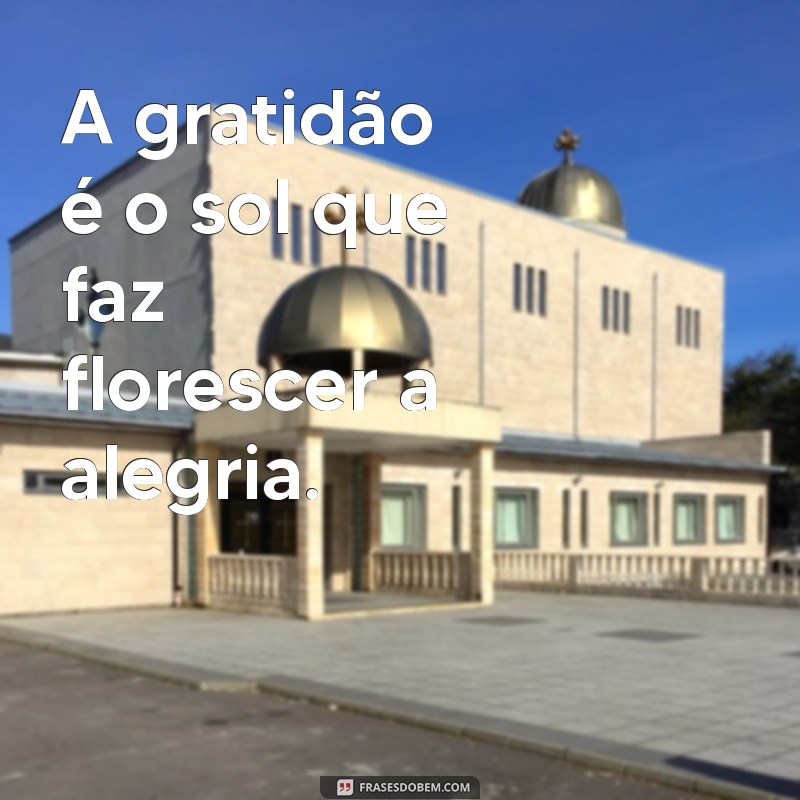 Descubra as Melhores Figuras de Gratidão para Inspirar e Agradecer 