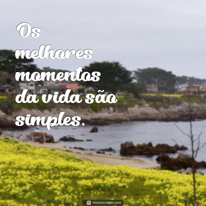 As Melhores Frases para Status: Inspire e Conquiste Seus Seguidores 