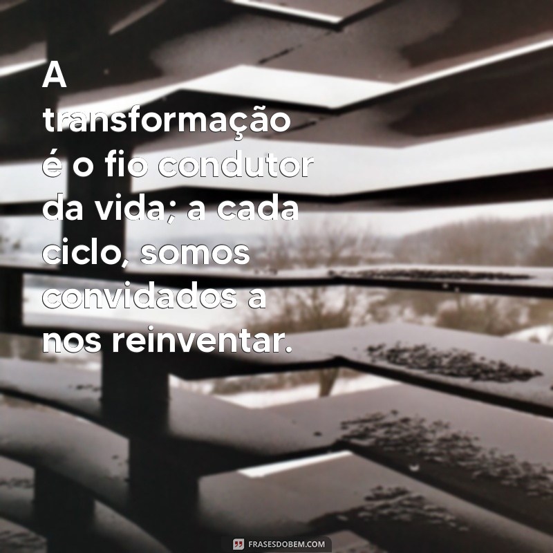 Frases Inspiradoras sobre os Ciclos da Vida: Reflexões para Cada Fase 