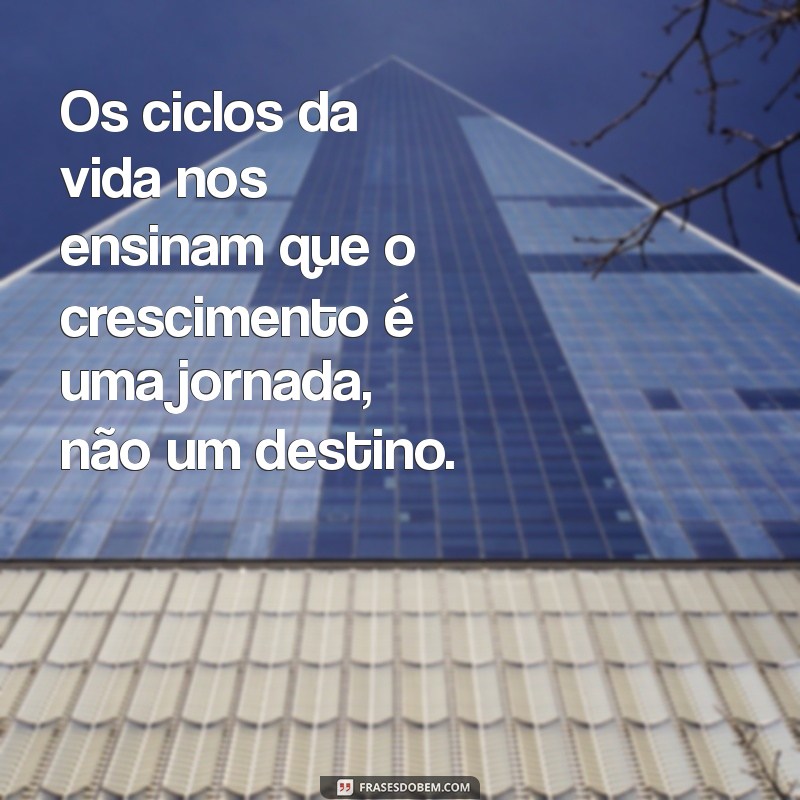 Frases Inspiradoras sobre os Ciclos da Vida: Reflexões para Cada Fase 