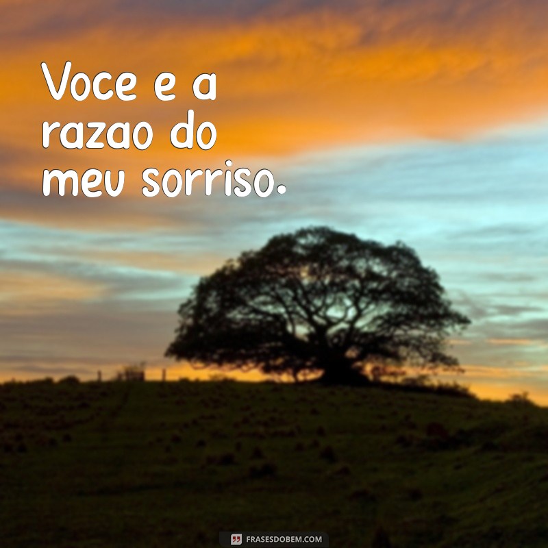 Frases Curtas de Amor para Encantar sua Namorada 