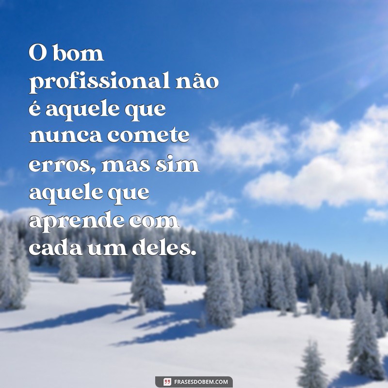 o bom profissional frases O bom profissional não é aquele que nunca comete erros, mas sim aquele que aprende com cada um deles.