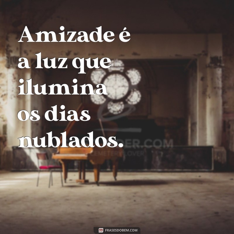 frases para amigos Amizade é a luz que ilumina os dias nublados.