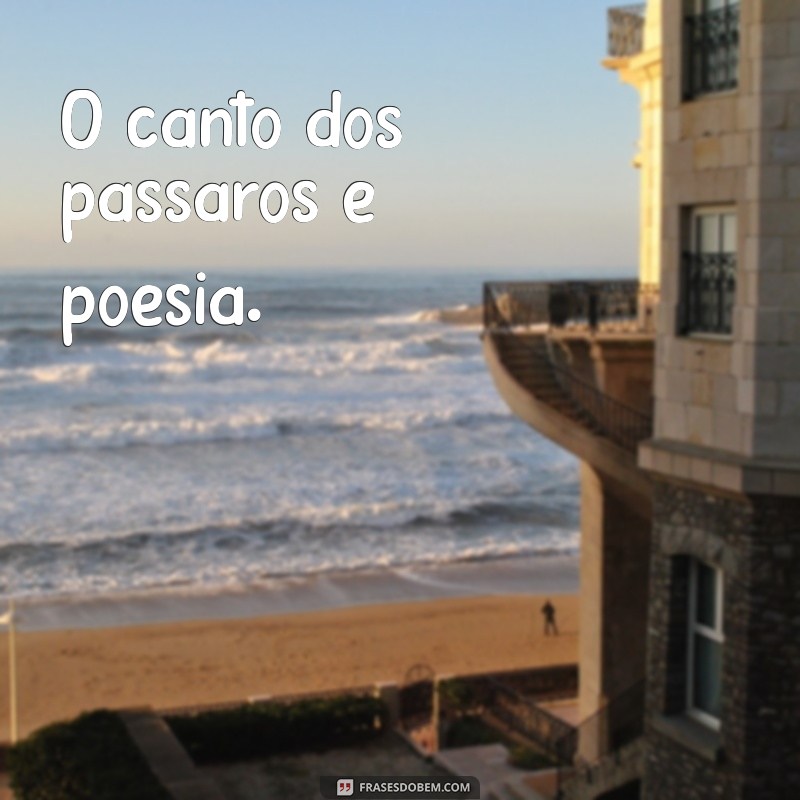 Frases Curtas sobre a Natureza: Inspiração e Reflexão em Palavras 