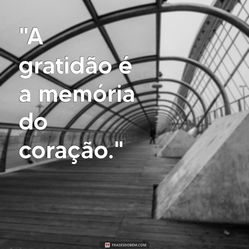 frases de rumi sobre gratidão 