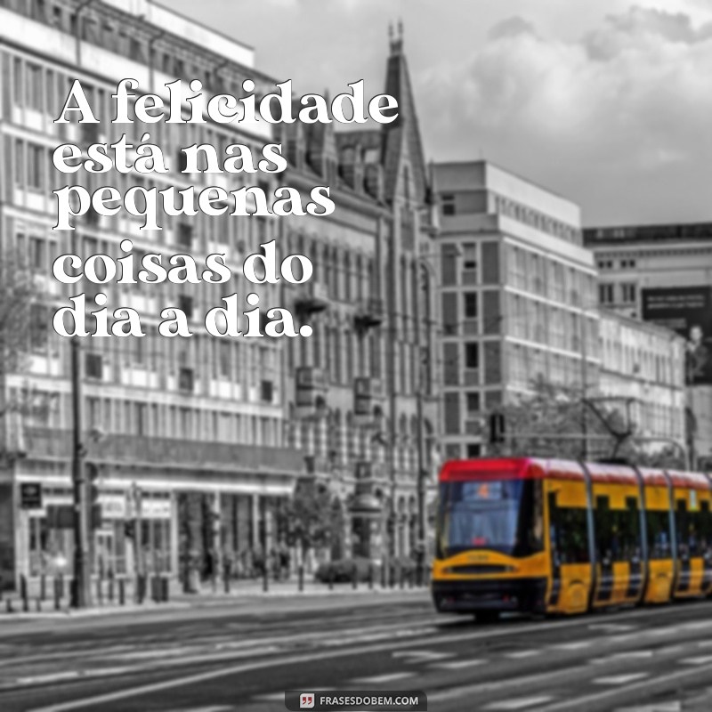 frases coisas simples A felicidade está nas pequenas coisas do dia a dia.