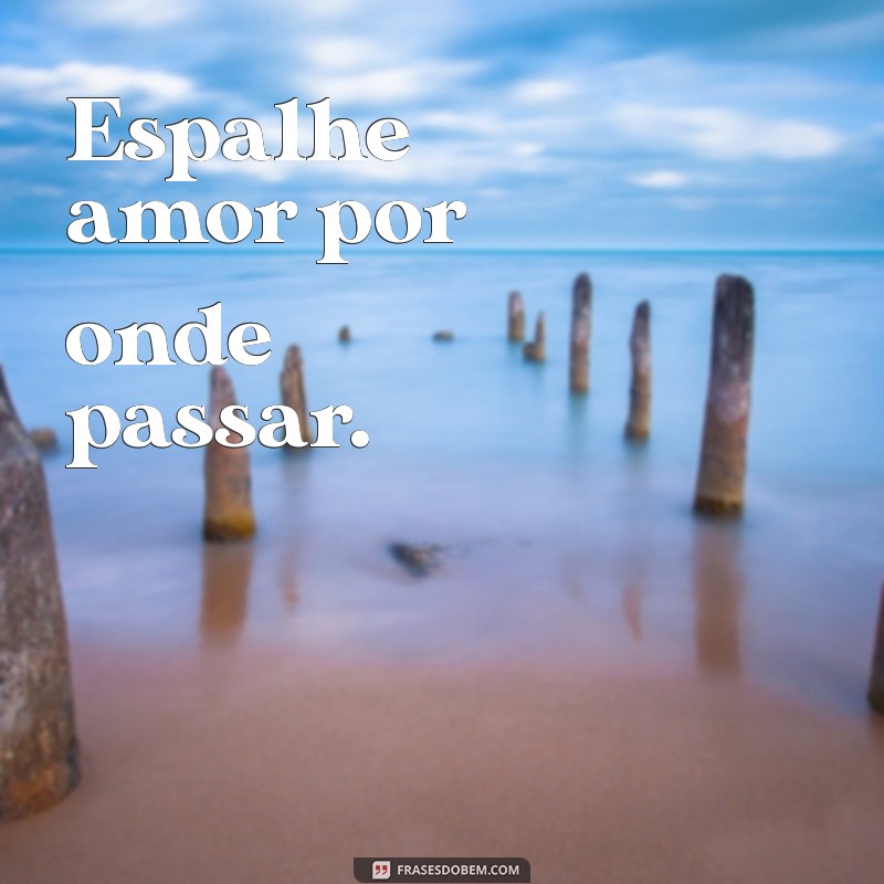 As Melhores Frases para Status do WhatsApp: Inspire-se e Compartilhe! 