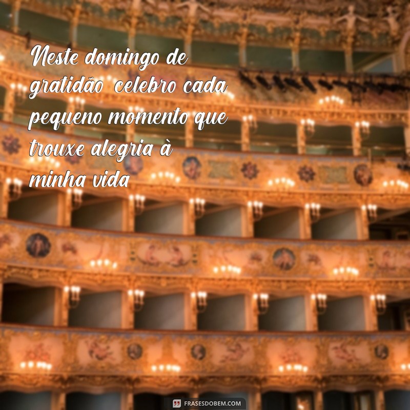 domingo de gratidão Neste domingo de gratidão, celebro cada pequeno momento que trouxe alegria à minha vida.