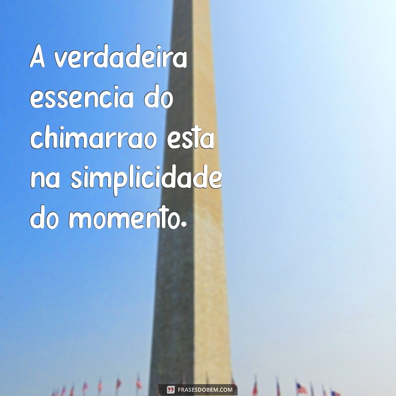 As Melhores Frases sobre Chimarrão para Celebrar essa Tradição 