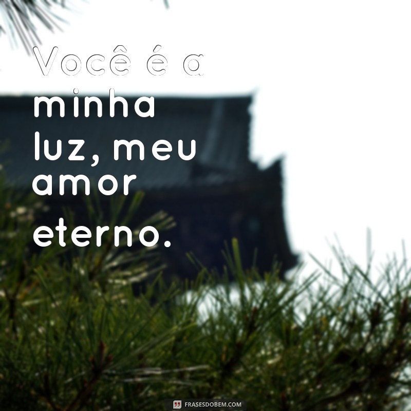 As Melhores Frases Lindas para Declarar Seu Amor 