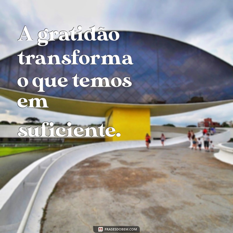 a frases do dia é gratidão A gratidão transforma o que temos em suficiente.