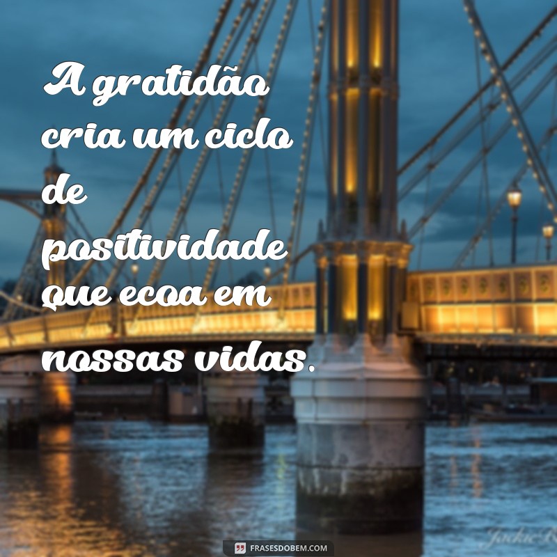 Frases do Dia: Cultivando a Gratidão para Transformar sua Vida 