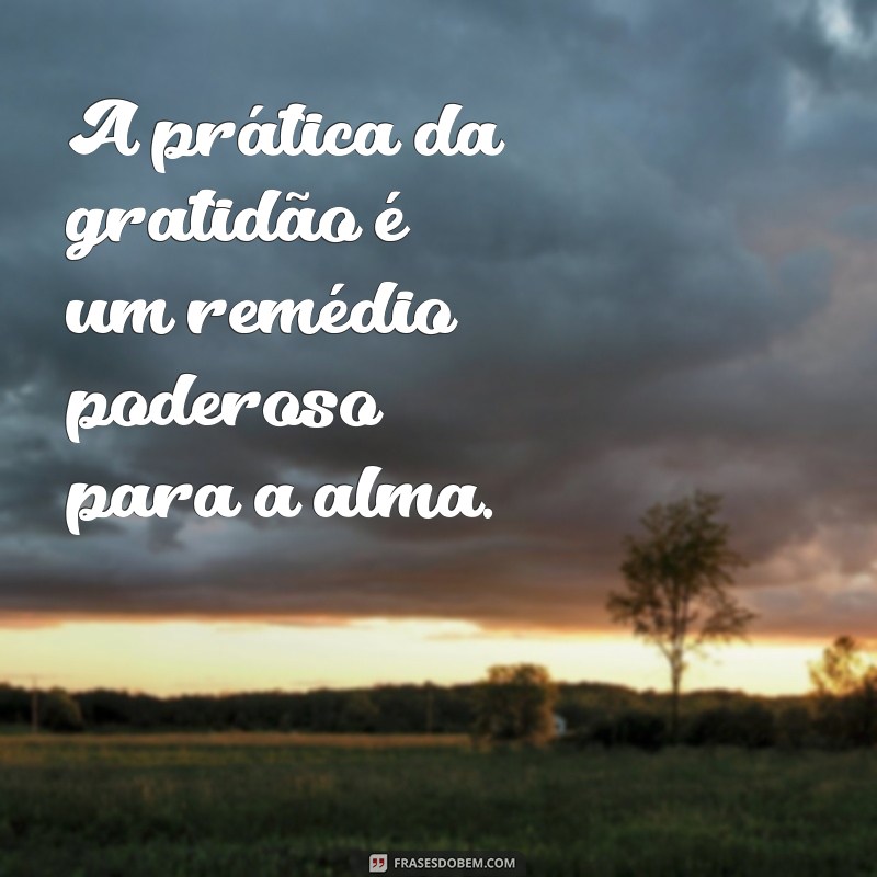 Frases do Dia: Cultivando a Gratidão para Transformar sua Vida 