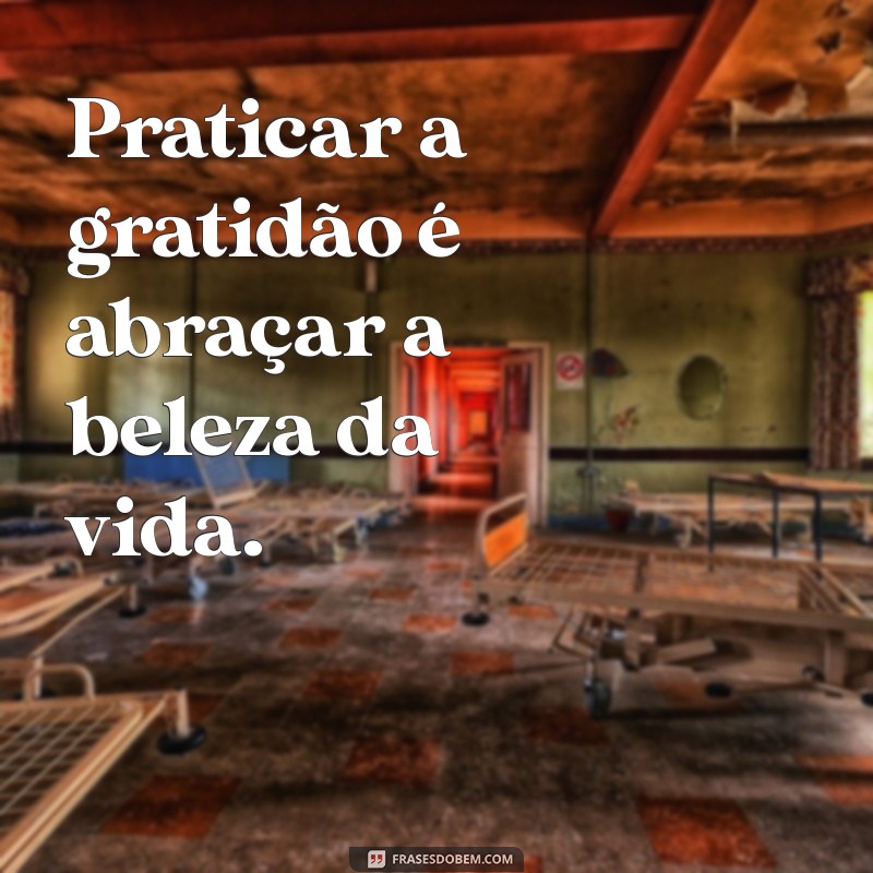 Frases do Dia: Cultivando a Gratidão para Transformar sua Vida 