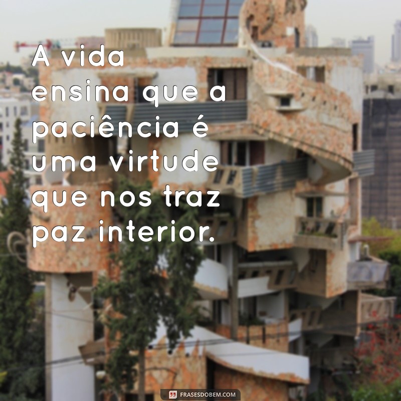 frases a vida ensina A vida ensina que a paciência é uma virtude que nos traz paz interior.