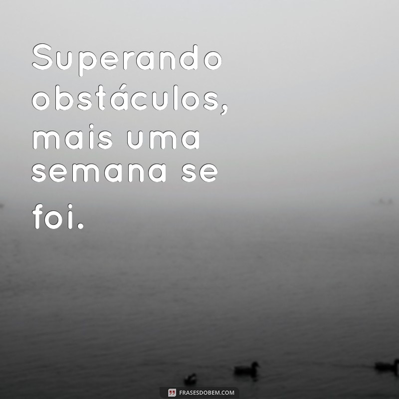 Como Vencer a Semana: Dicas para Conquistar Seus Objetivos com Sucesso 