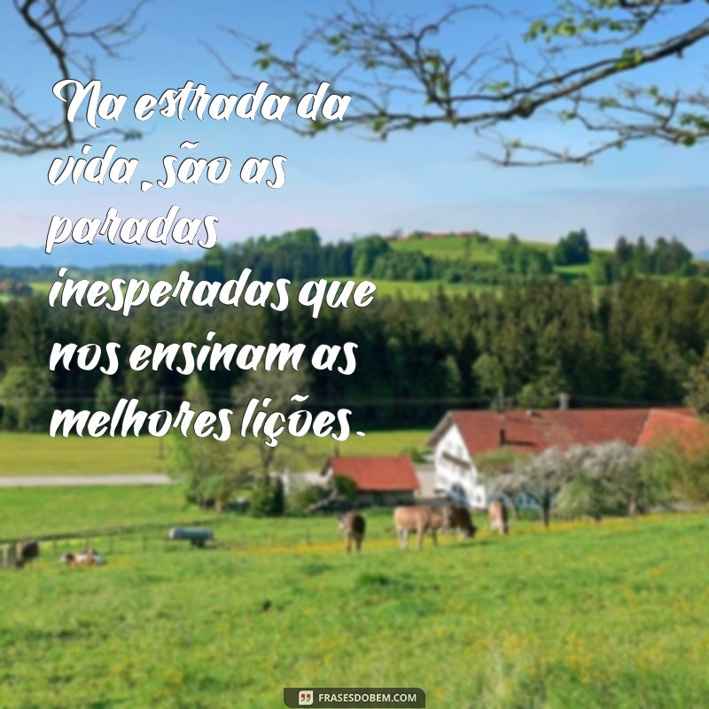 Frases Internacionais Inspiradoras: Conectando Culturas Através de Palavras 