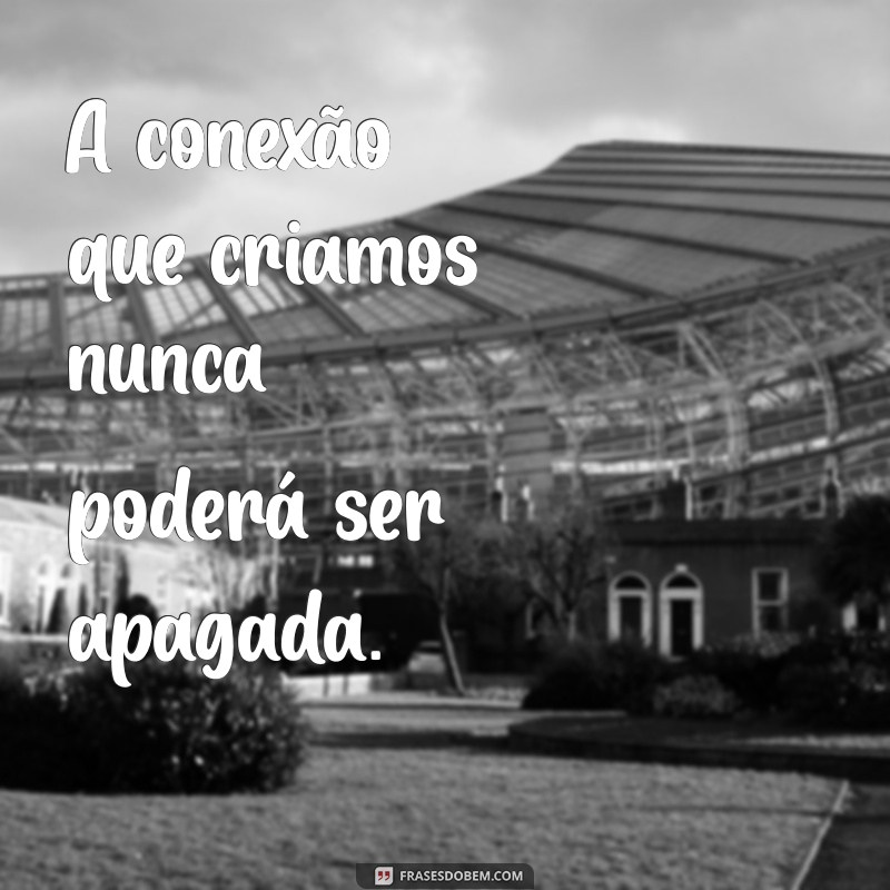 Como Lidar com o Luto: Mensagens e Frases Confortantes para Momentos Difíceis 